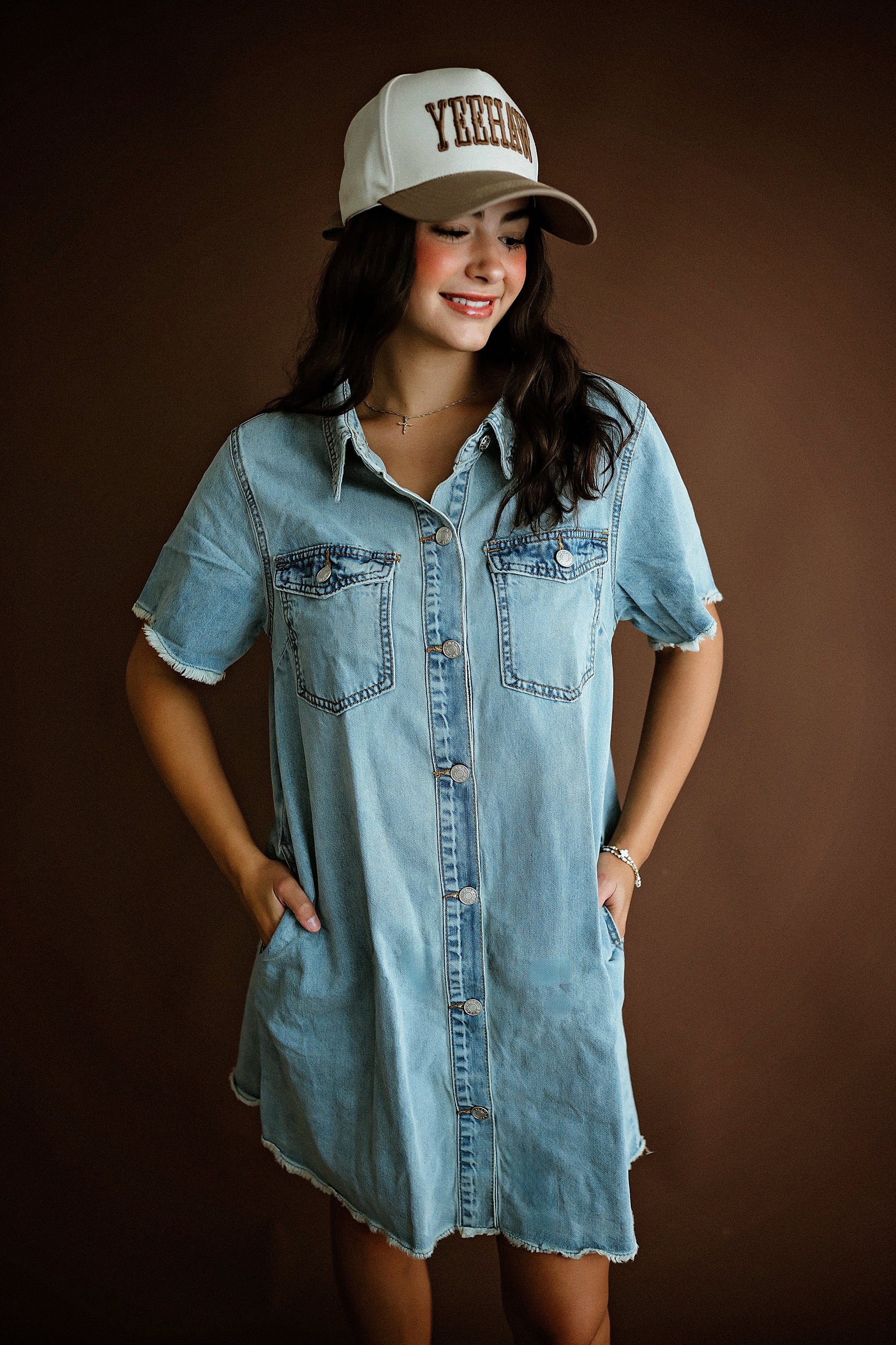 The Everyday Denim Dress