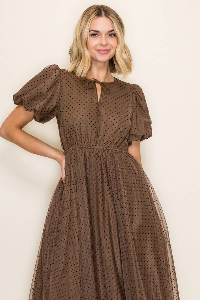 Classic Polka Dot Mesh Midi Dress