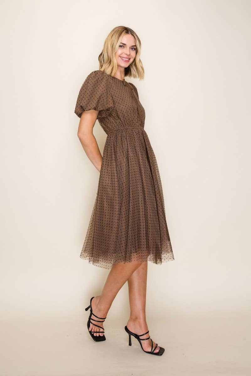 Classic Polka Dot Mesh Midi Dress