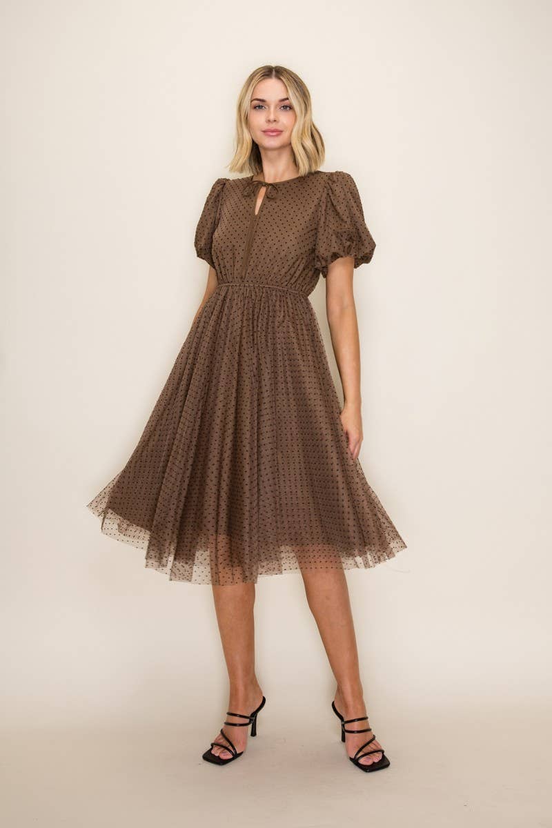 Classic Polka Dot Mesh Midi Dress